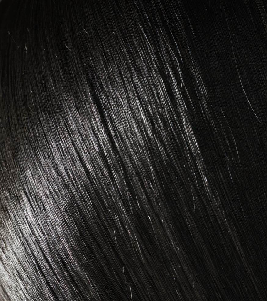 Seamless Black Straight Clip In Extension