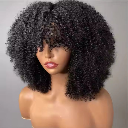 Virgin Afro Curly Hair 13x4 Wig